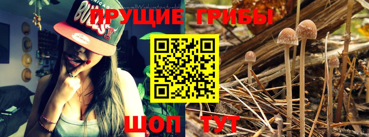 Галлюциногенные грибы MAGIC MUSHROOMS Новочеркасск