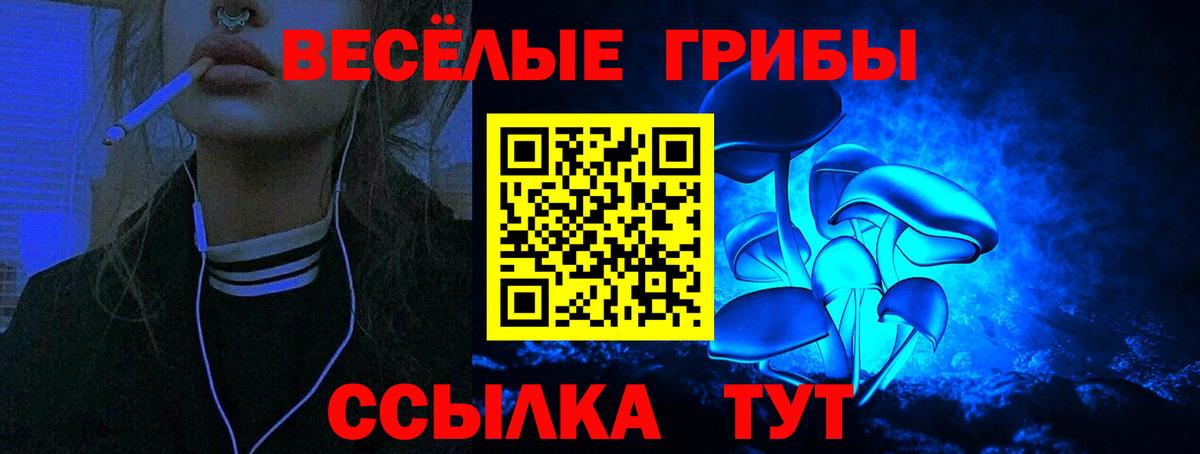 Новочеркасск  Галлюциногенные грибы Magic Shrooms  Вход с VPN 